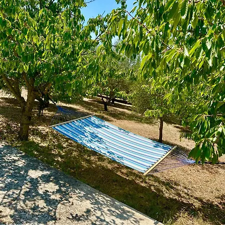 公寓 Nikos Galovac (Zadar)