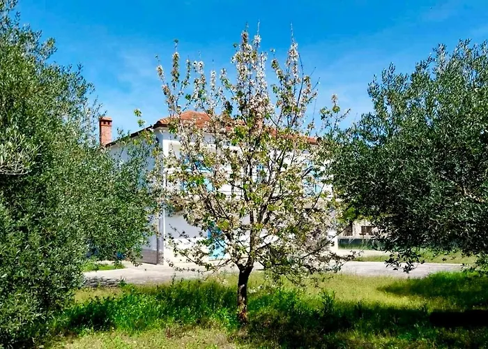 Nikos